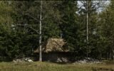 Senovės pirtis miško pakraštyje su šiaudiniu stogu ir rąstinėmis sienomis