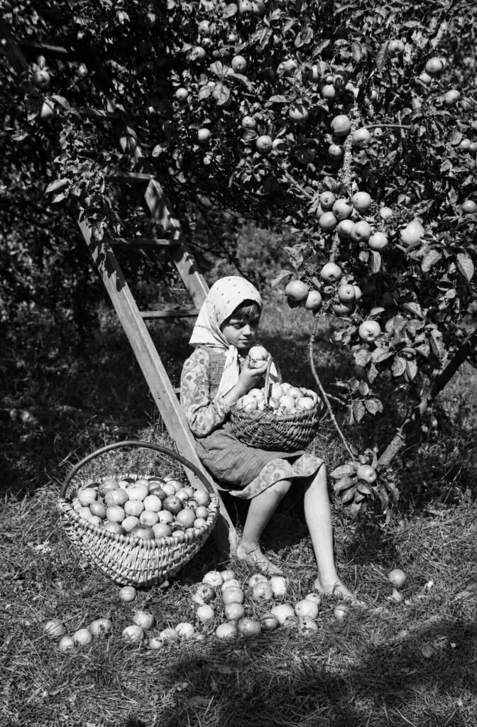 Mergaitė sėdi sode po obelimi, rankoje laiko obuolį, šalia jos dvi pintinės pilnos obuolių.