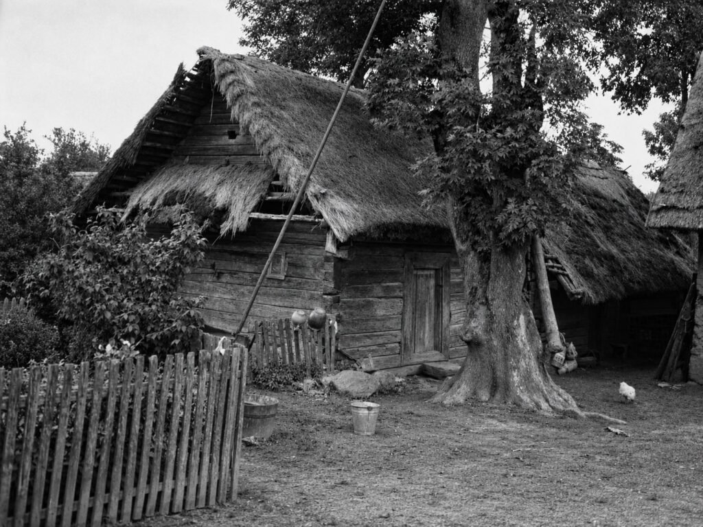 Mažažemio klėtis Jančiūnų k., Joniškio val., Šiaulių ap.
