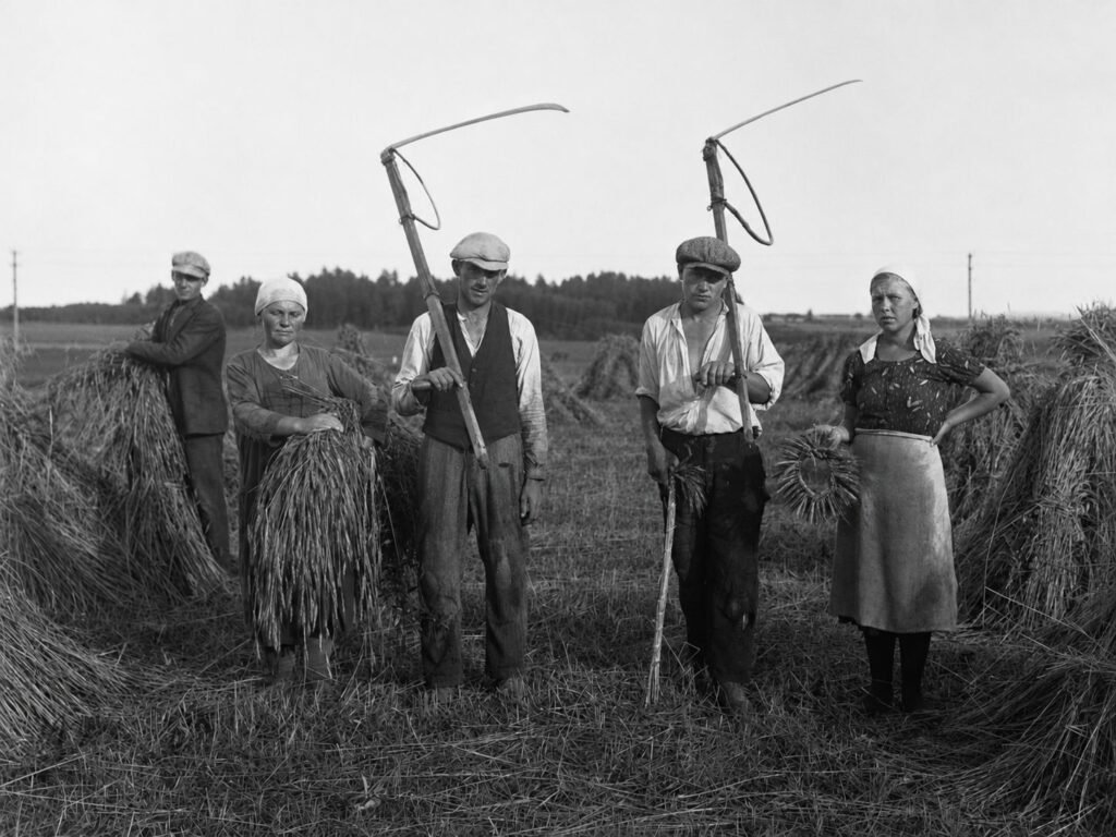 Pabaigtuvių vainikas javapjūtės lauke, apsuptas rugių pjovėjų ir javų pėdų